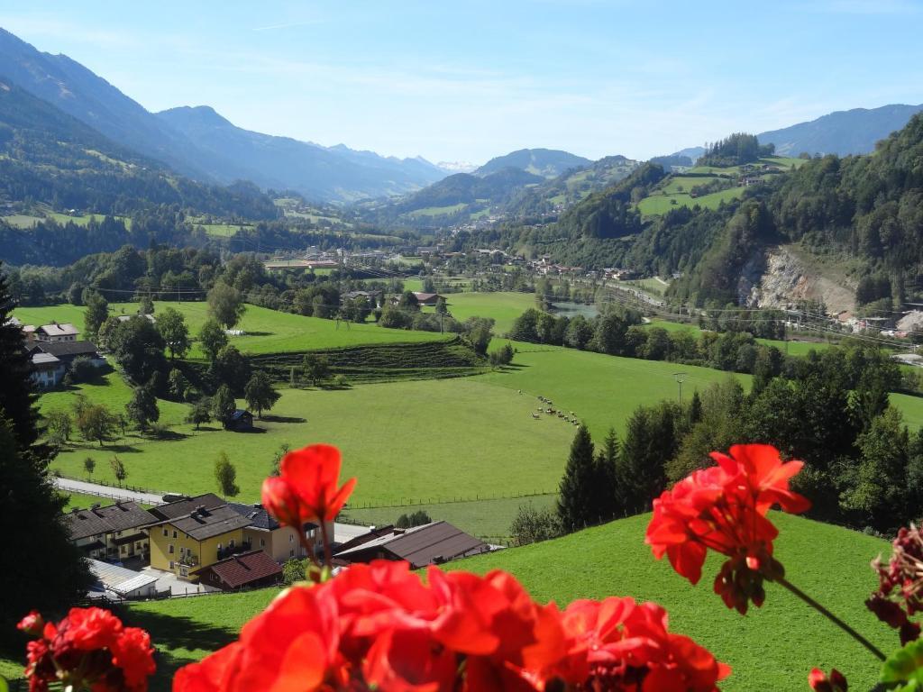 Pension Appartements Reithof Sankt Johann im Pongau Camera foto