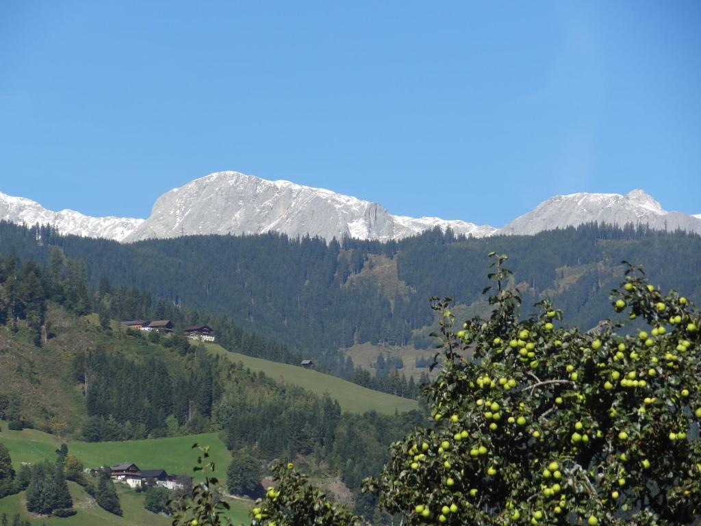 Pension Appartements Reithof Sankt Johann im Pongau Camera foto